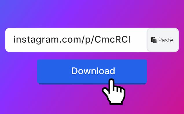 Instagram Video Download : Download Instagram Reels Video, Photo and Story